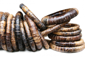 East Africa Swahili Coast Arusha Tanzania Nairobi Kenya NGO