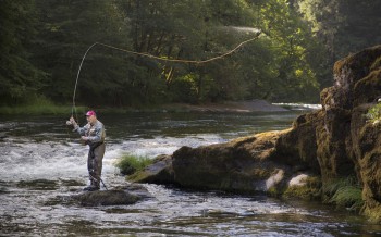 Mending the Line