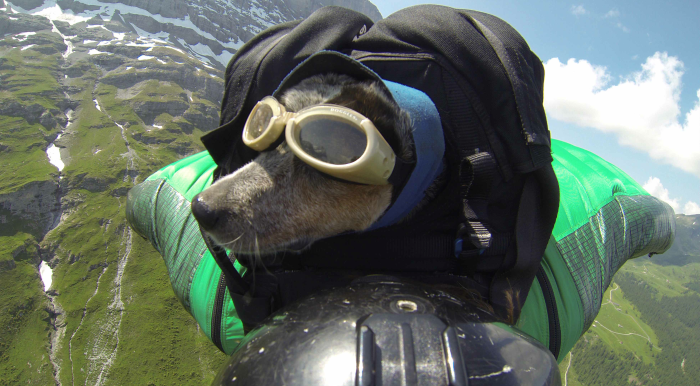 Dean Potter When Dogs Fly Whisper BASE Jumping Eiger