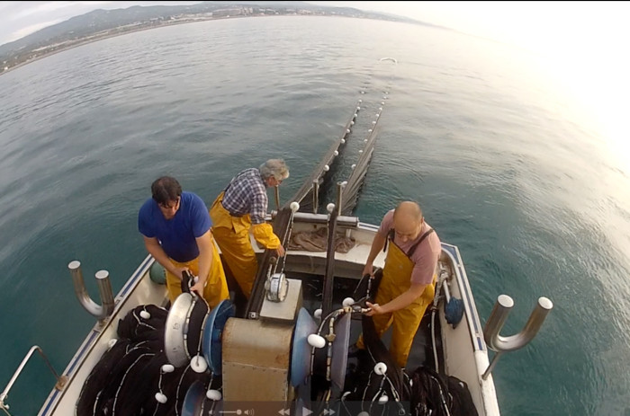 The artisanal sandeel fishery in Catalonia, Spain / photo: Liz Cunningham