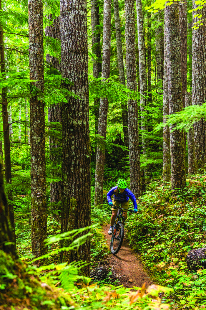 S16_HOUDINI / PHOTO RIGHTS Jan 1, 2016 to Jan 1, 2017: Nikki Hollatz shreds the forest for the trees. Gifford Pinchot National Forest, Washington.